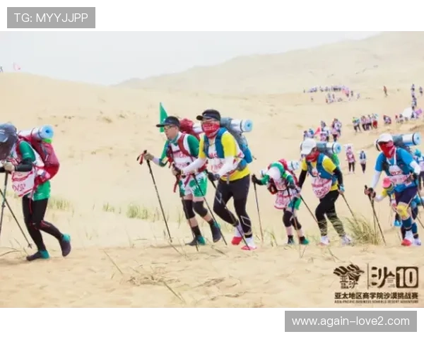 深入分析Ag亚游国际市场的商业机会与挑战